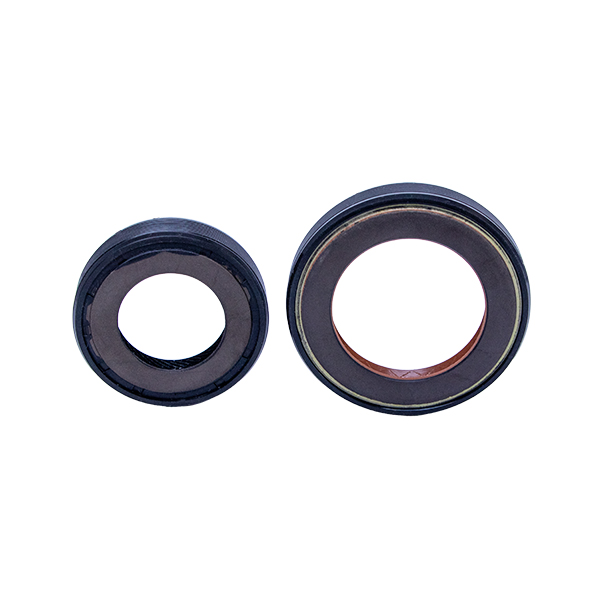 کاسه نمد پلوس بزرگ و کوچک (PTFE) فرست موتور مناسب پژو 405